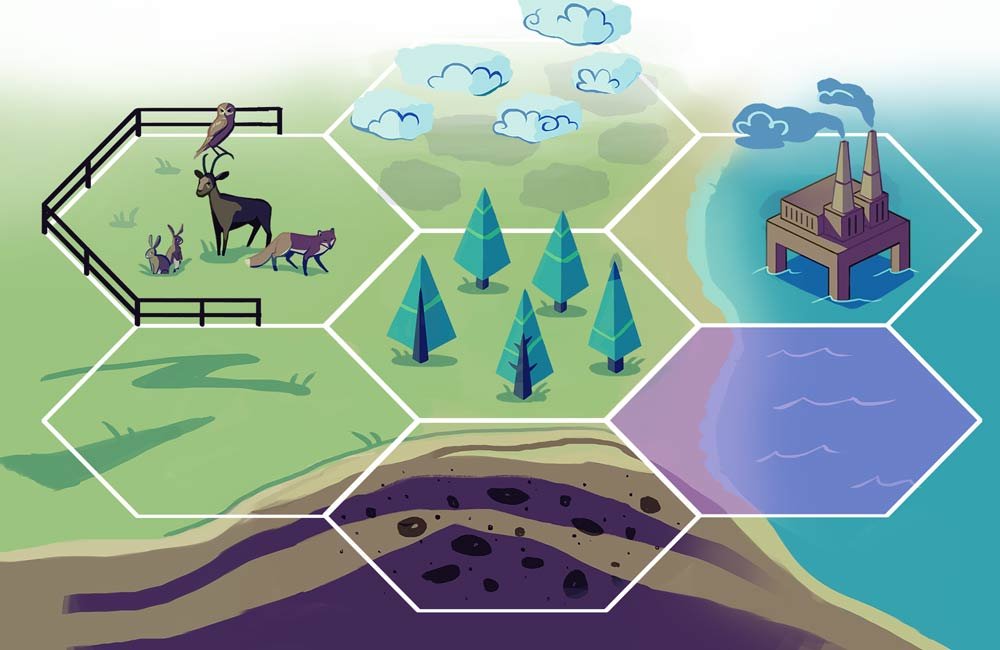 Carbon Cycle Game