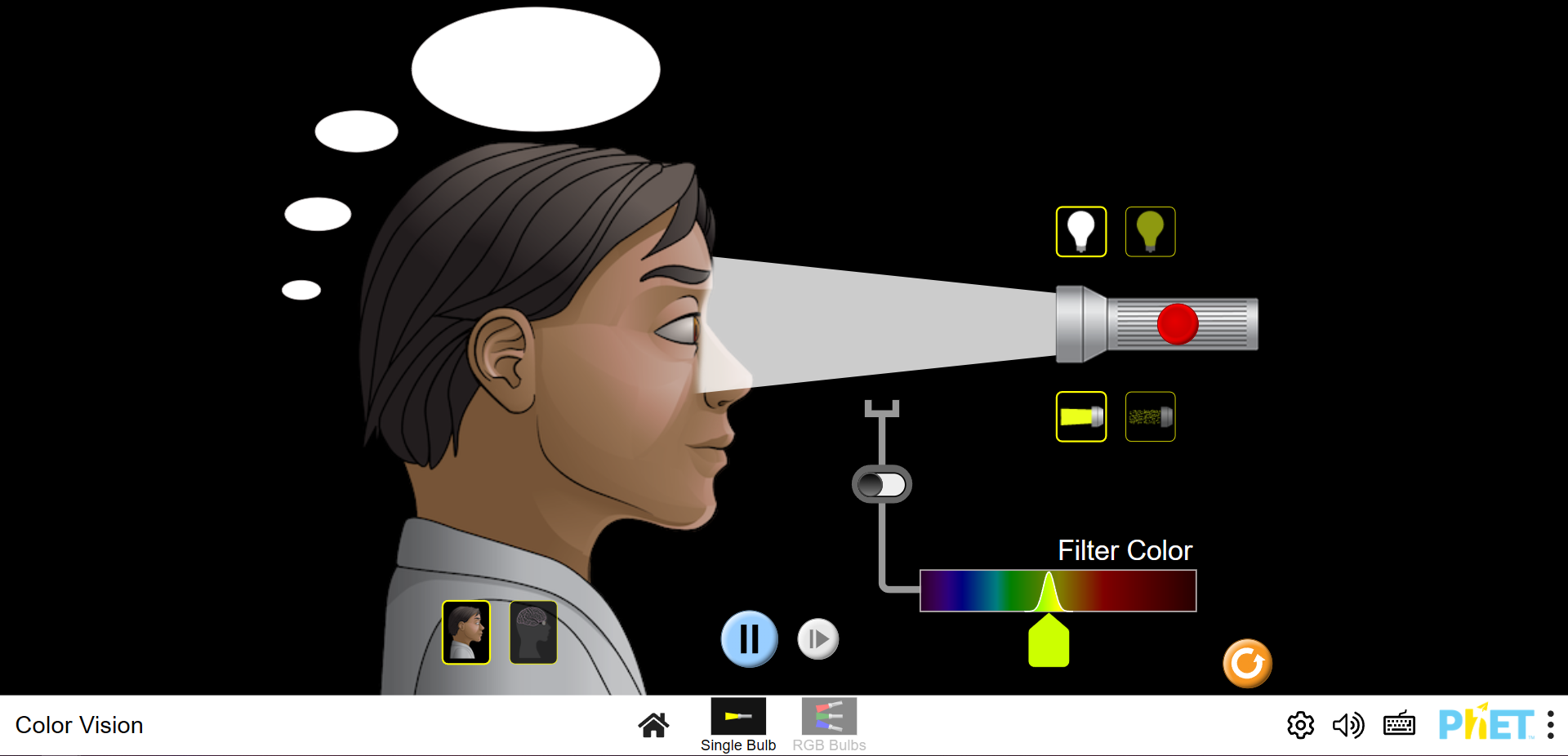 Color Vision