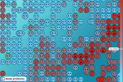 Antibiotic Resistance